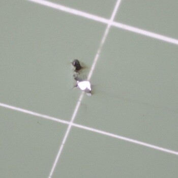 "SHOOTED" SOLAR PANELS !!!!!!!